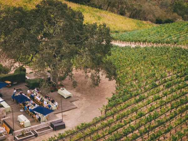 Merryvale Vineyards gallery photo 8