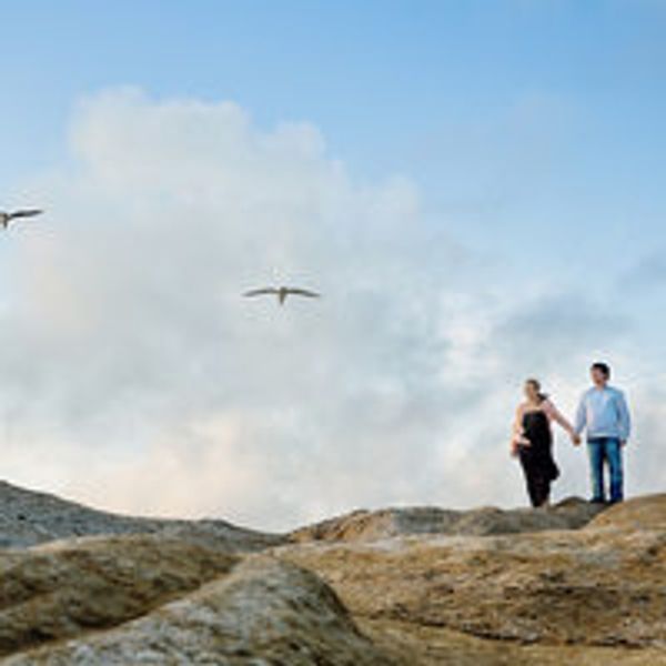 Harry Who Photography gallery photo 2