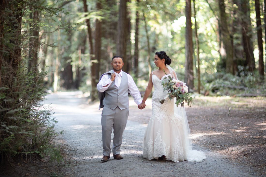 Viva Sonoma Photography & Videography cover photo