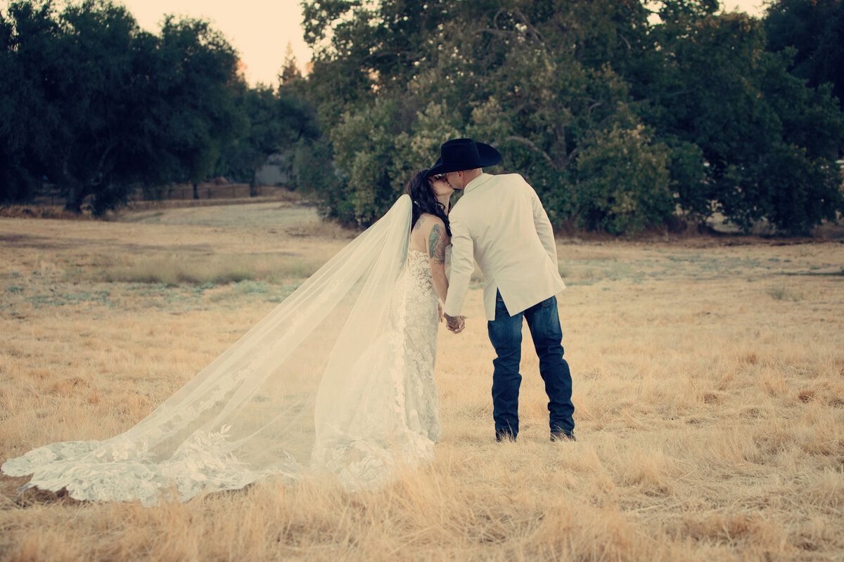 Laurie Ann Martin Photography - Photographer in Santa Rosa