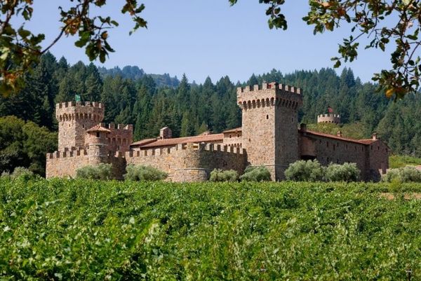 Apex Wine Tours & Limo Service gallery photo 3