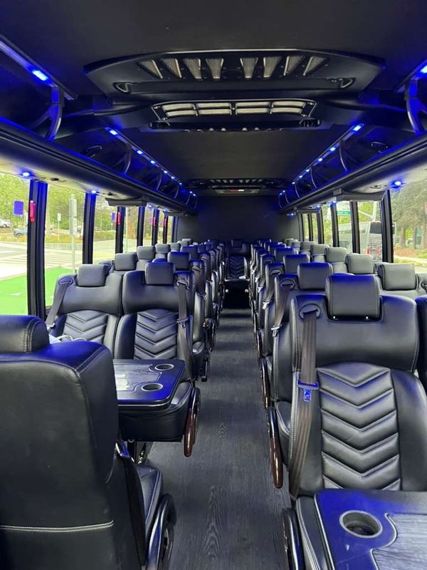 Coach & Bus / New Millennium Limo gallery photo 6