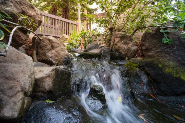San Mateo Garden Center gallery photo 4