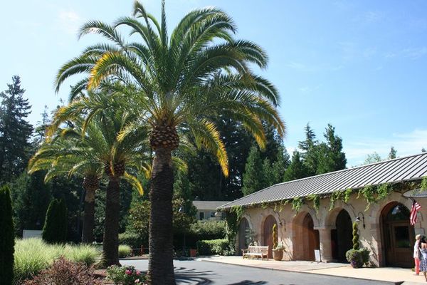 Apex Wine Tours & Limo Service gallery photo 2