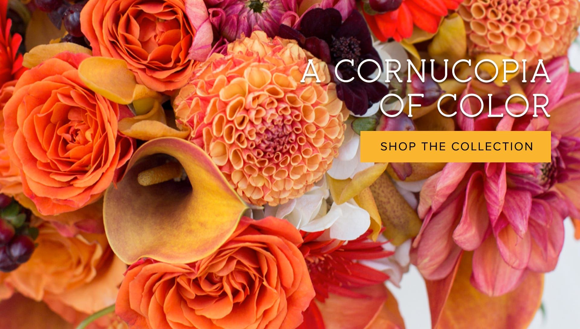 Grohe Florists Of Santa Rosa cover photo