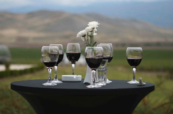 Wine Country Limos gallery photo 4