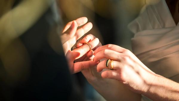 San Francisco City Hall Wedding Guide (2026): Costs, Timing, and a Stress-Free Plan