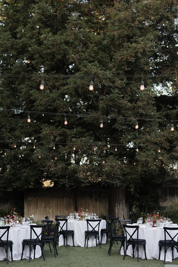 Brindare Napa Valley gallery photo 4