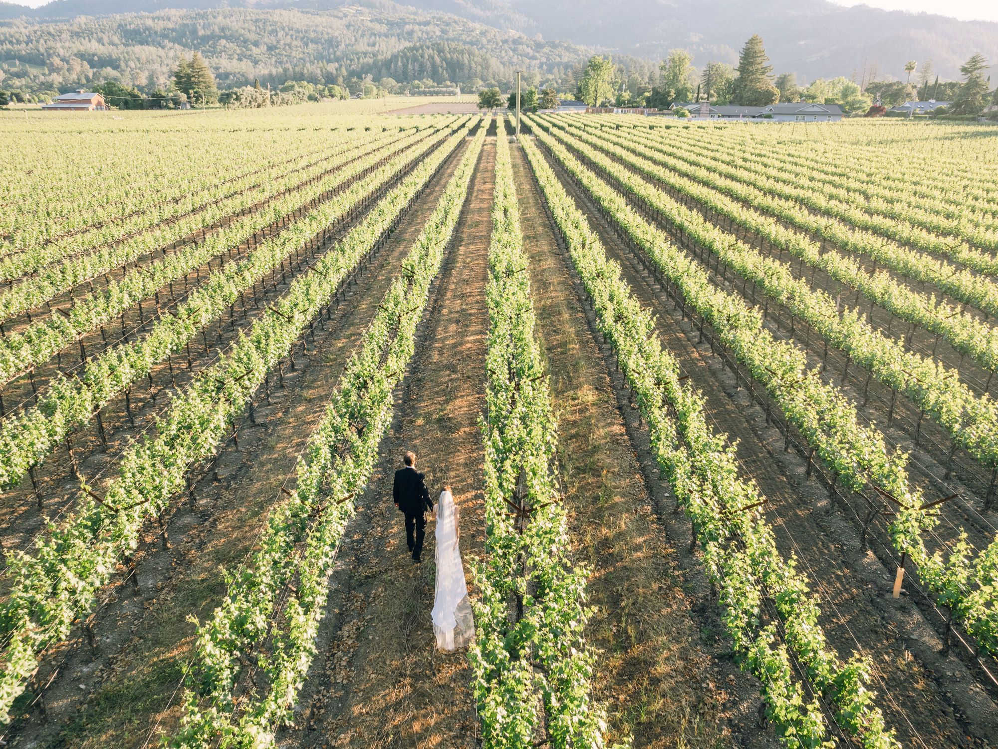Harvest Inn - Venue in St. Helena