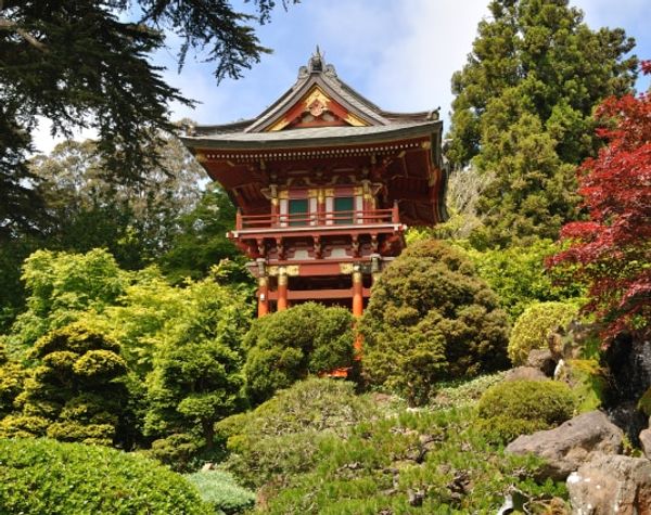 SF Botanical Garden Redwood Grove gallery photo 2