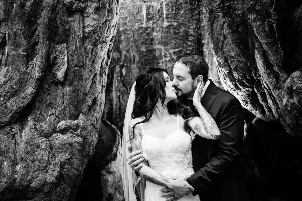 Melissa van Ruiten Photography gallery photo 11
