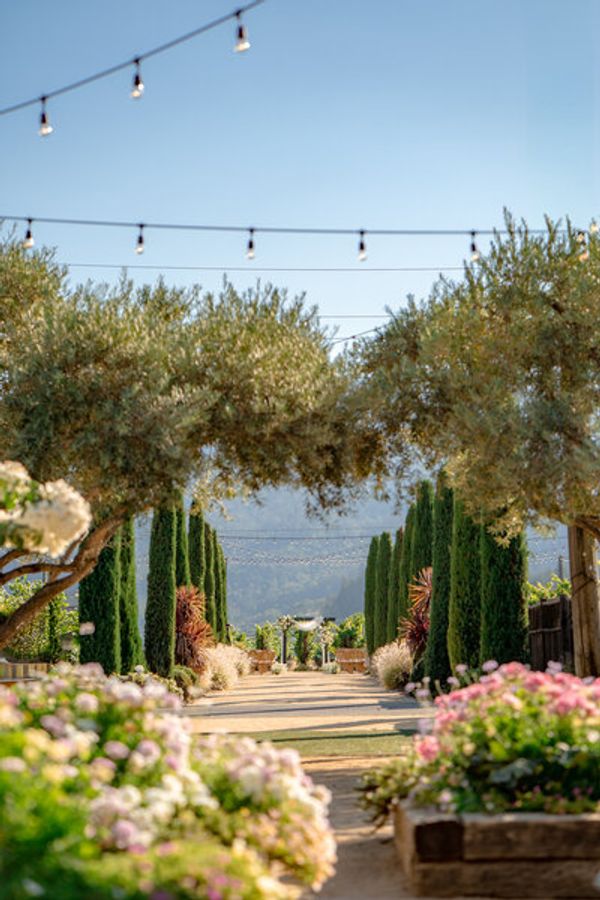 Brindare Napa Valley gallery photo 3