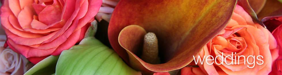 Not Just Flowers - Florist in San Francisco
