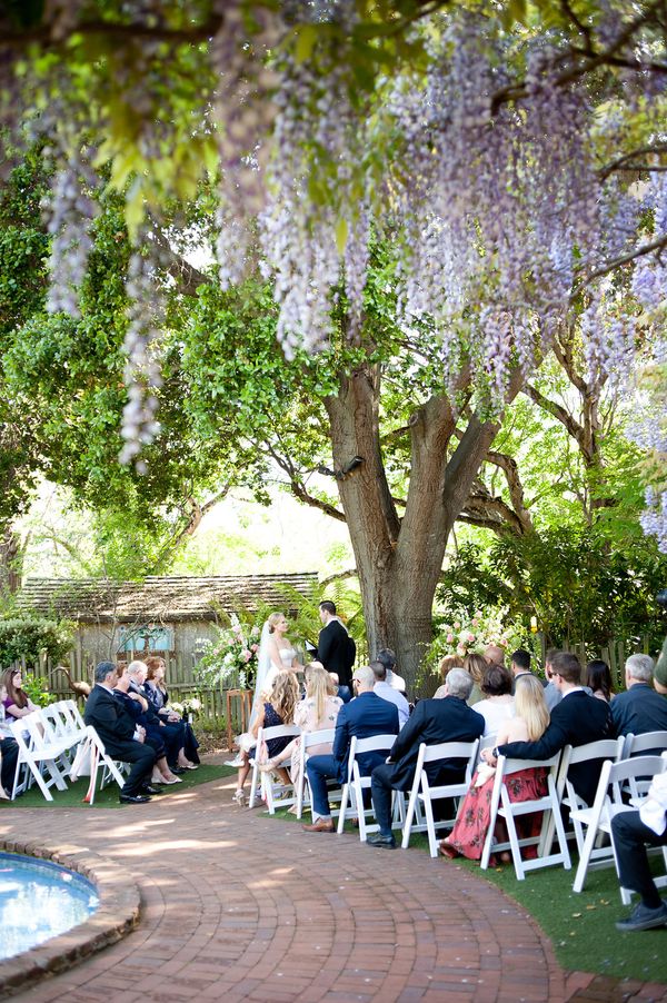 Cafe Wisteria gallery photo 2