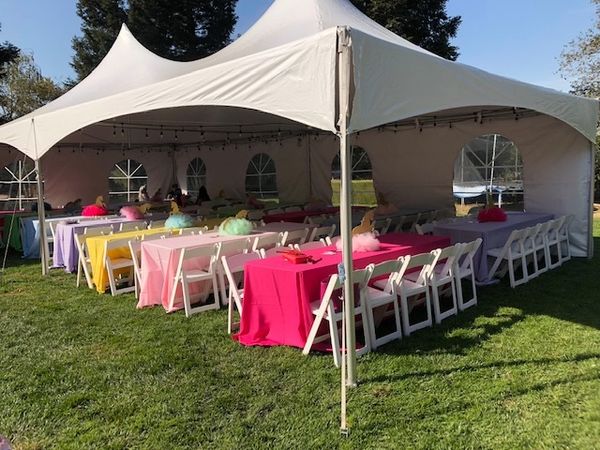 iCelebrate Event Rentals gallery photo 2