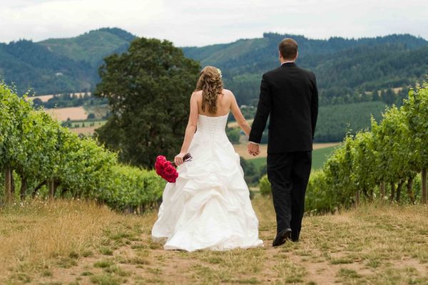 Wine Country Limos gallery photo 2
