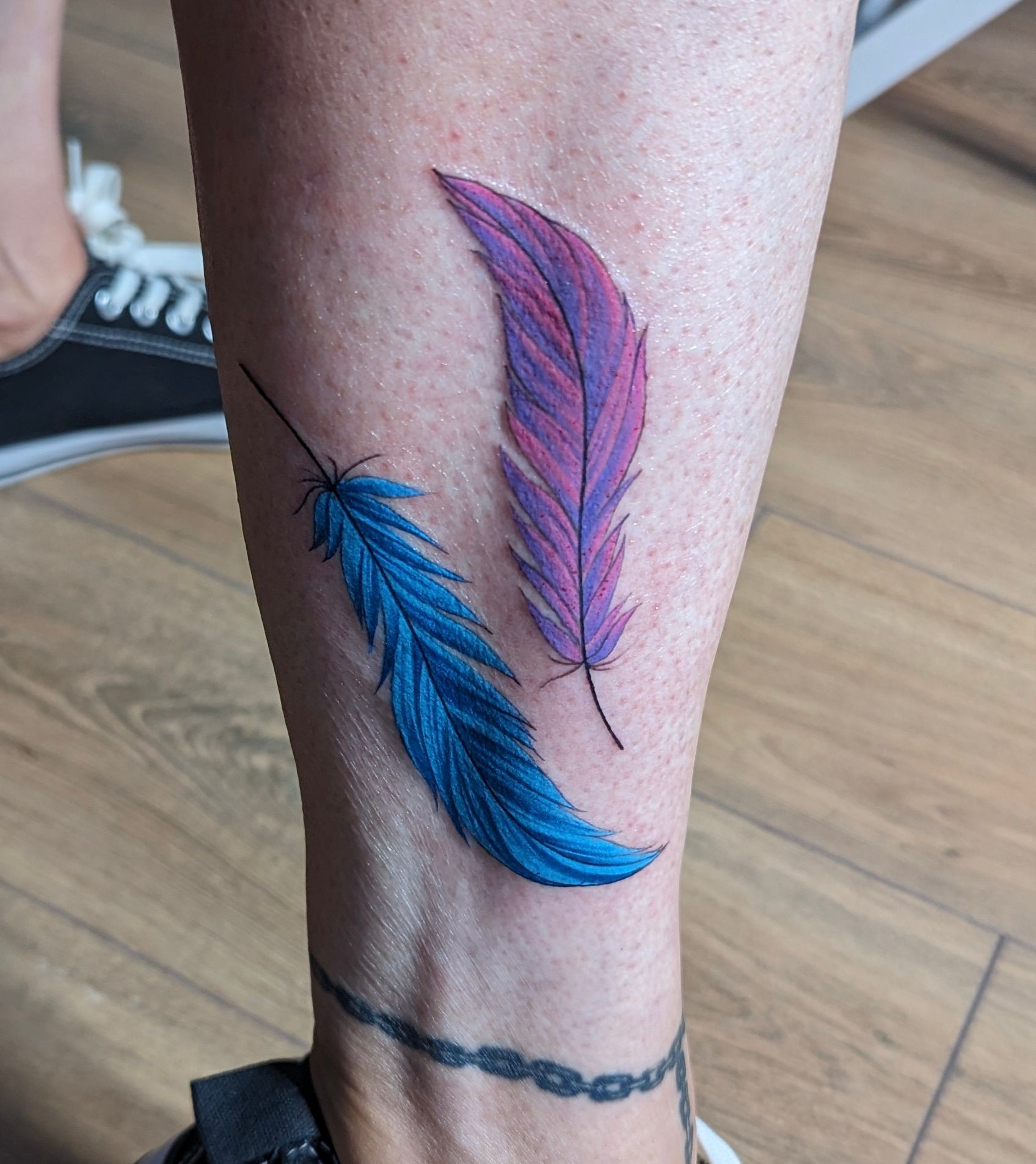 feathers colour
