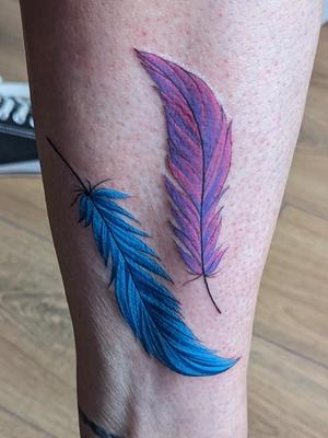 feathers colour