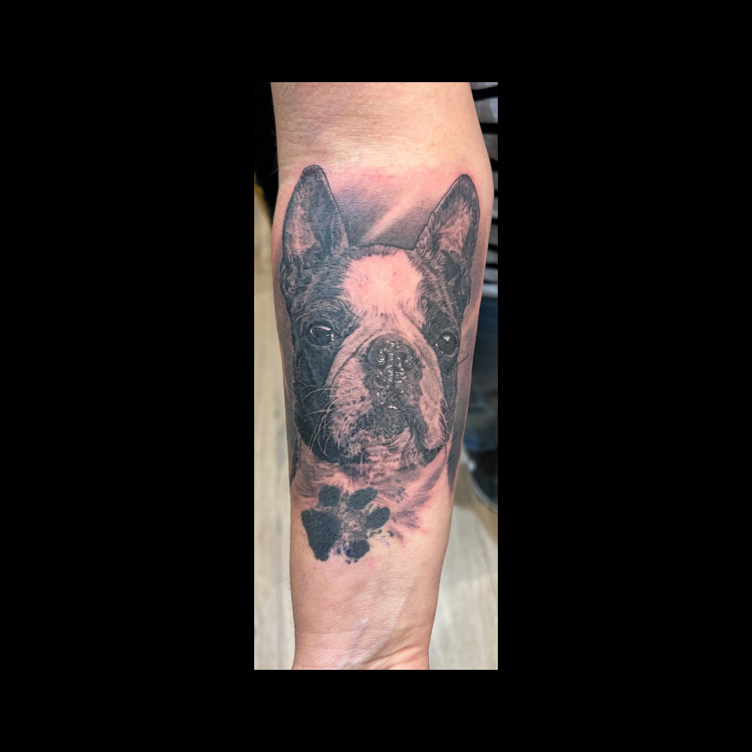 Black & White French Bulldog Tattoo 16