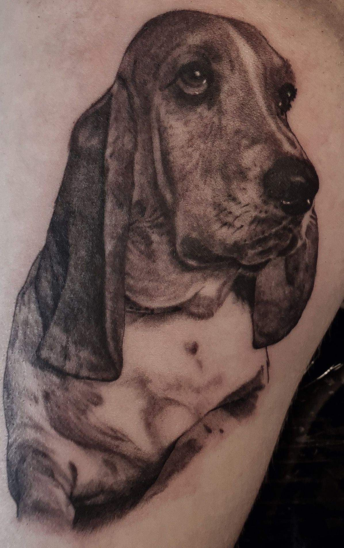 Black & White Beagle dog Tattoo 25