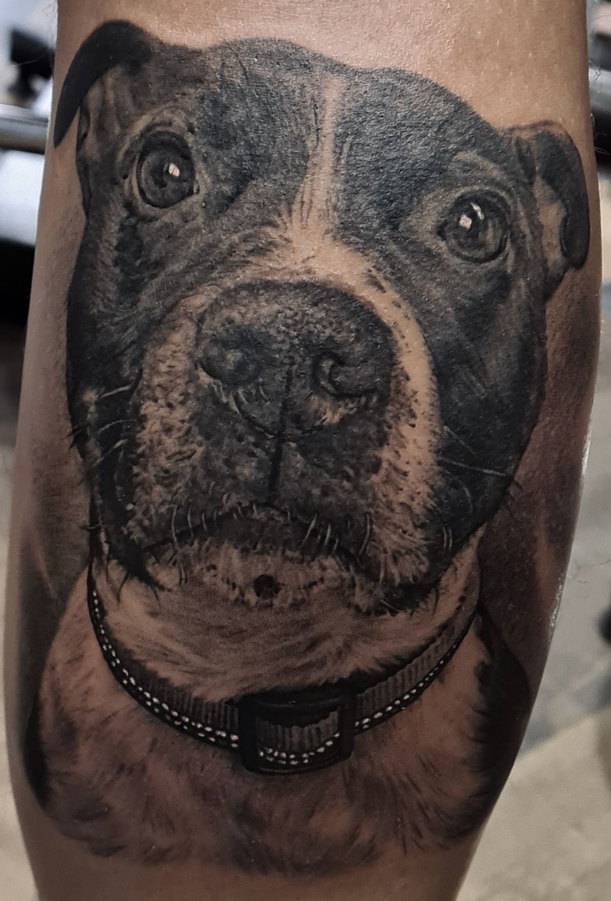 Black & White Dog 2 Tattoo 28