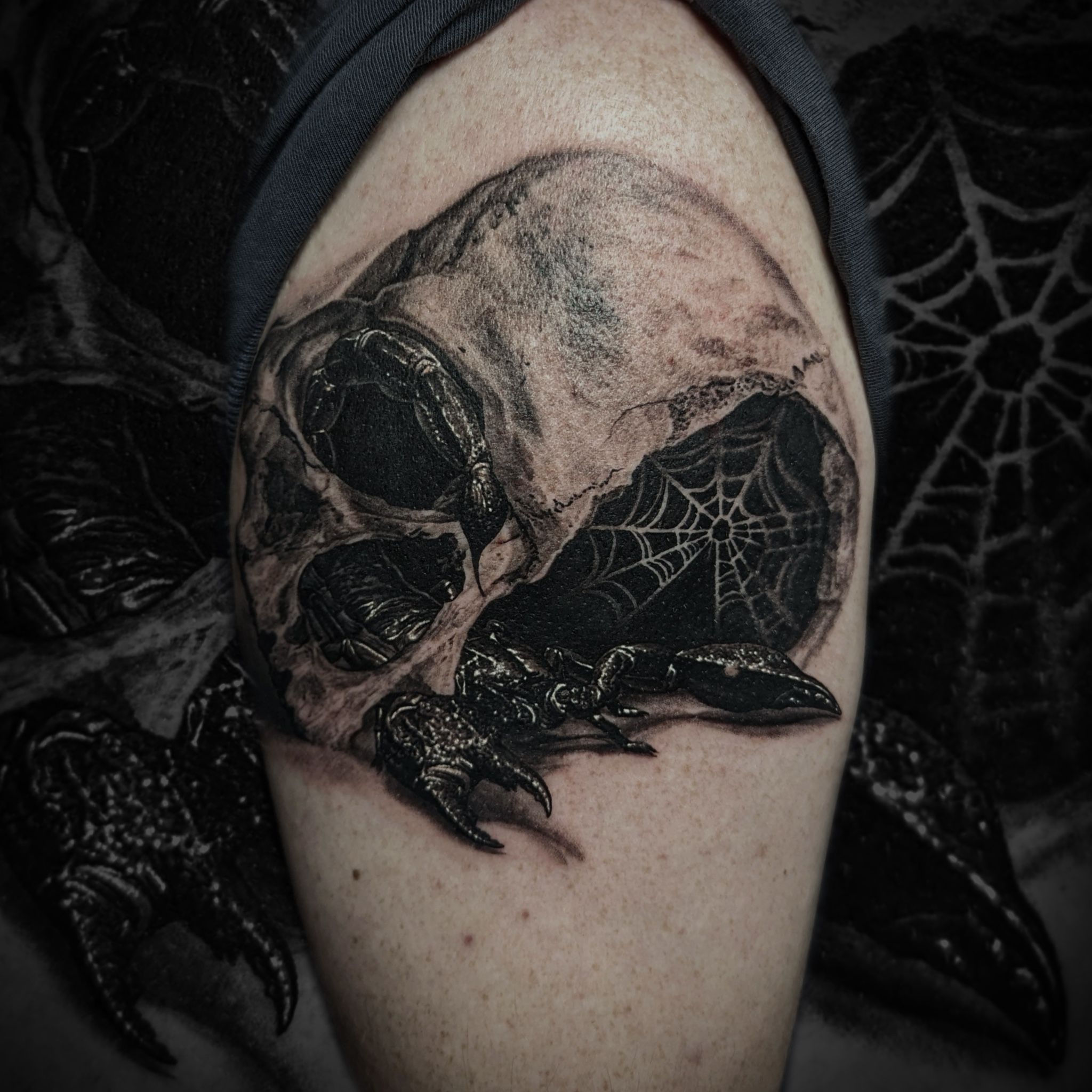 skull and scorpion b&g