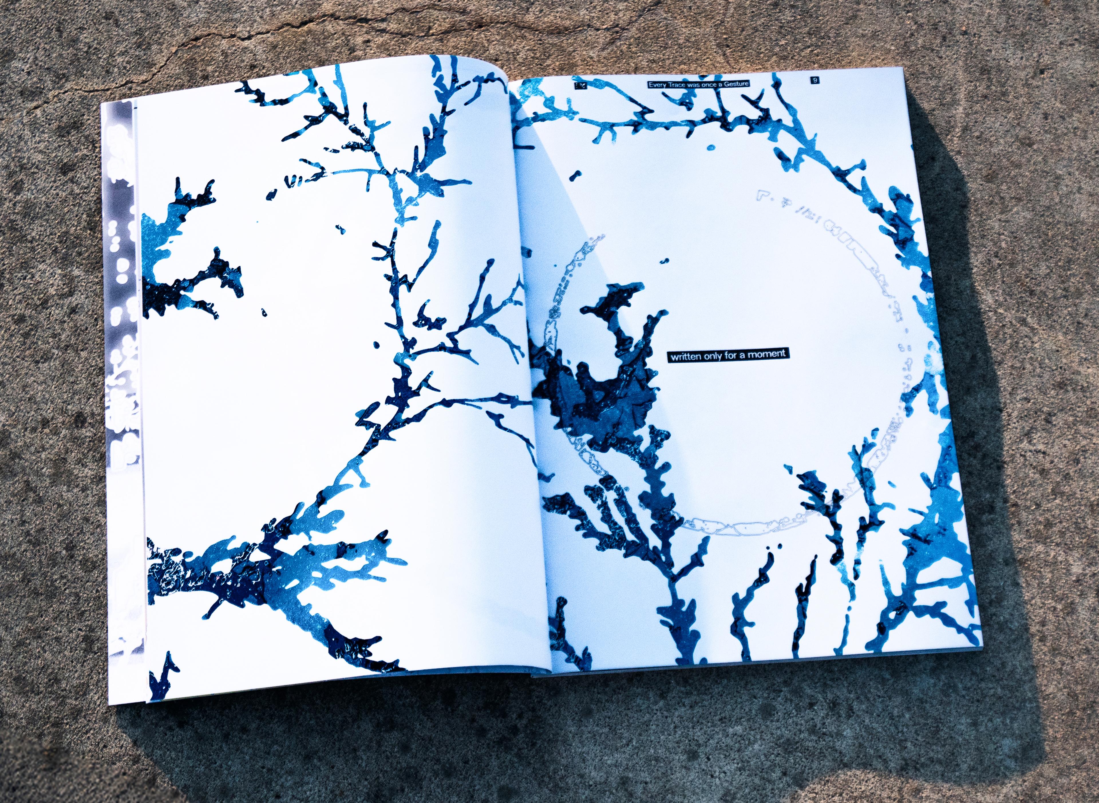 Every Trace was once a Gesture ◦ Chapter changing