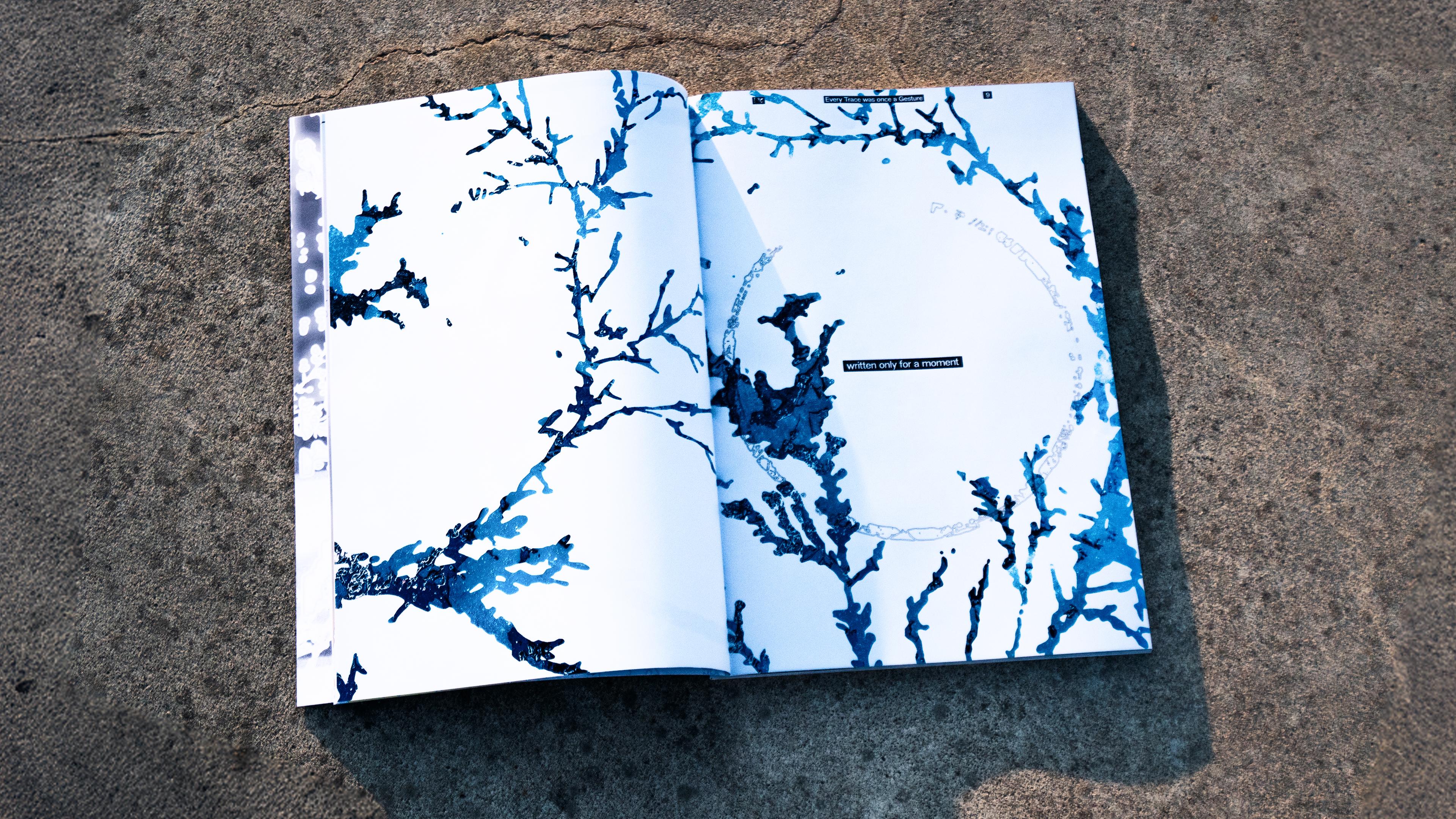 Pages marking the Shift between Chapters