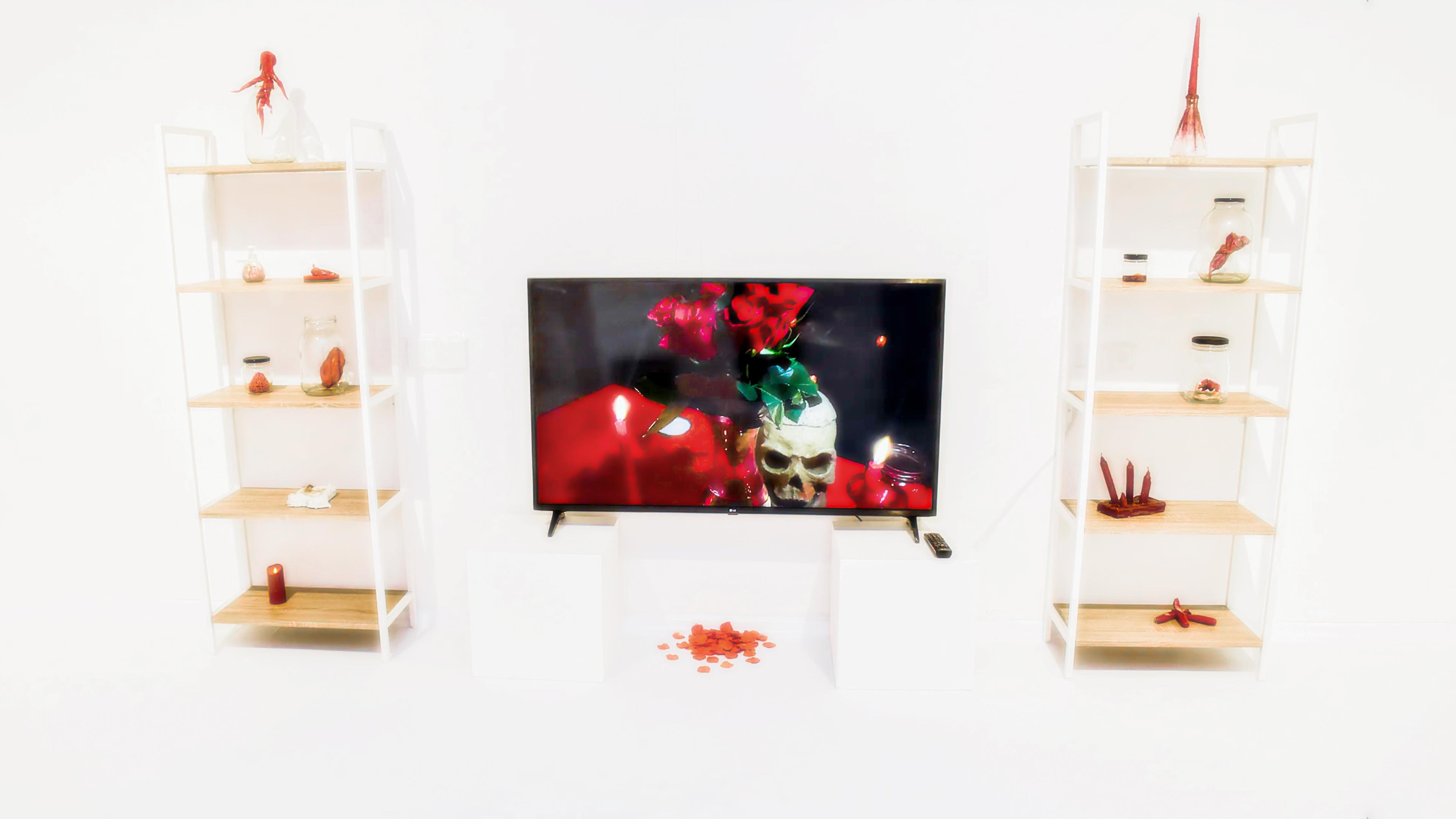 Helena Tääker ◦ Loitsu murdmine / Breaking the Spell ◦ Exhibition Pictures