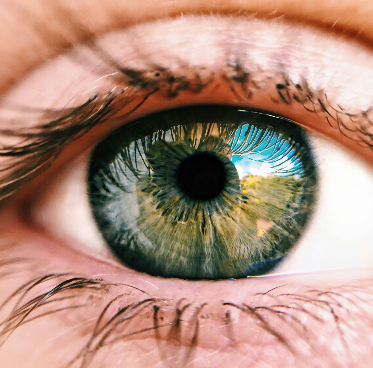 دليل  المبتدئين إلى العدسات اللاصقة الملونة