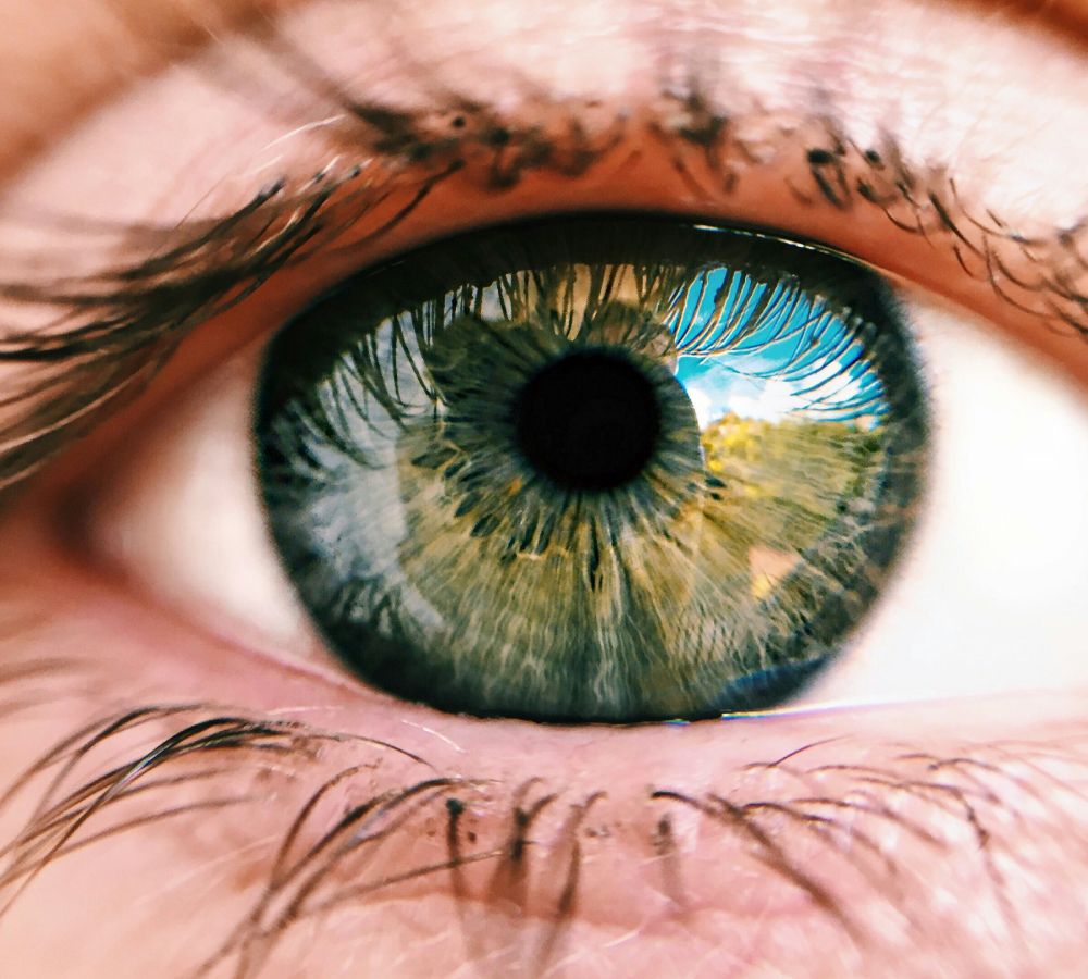 دليل  المبتدئين إلى العدسات اللاصقة الملونة