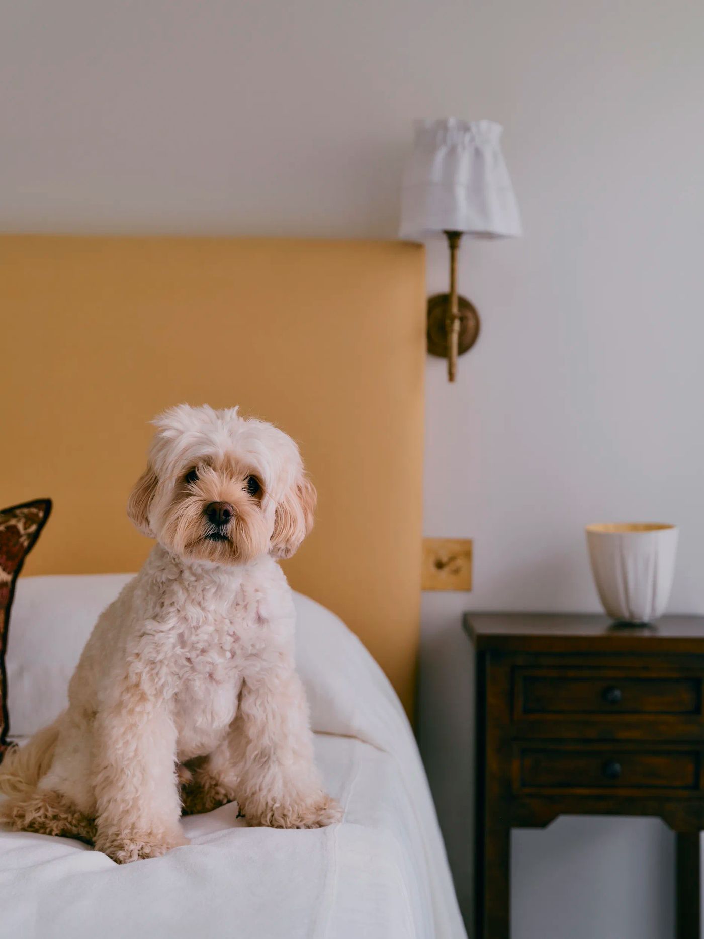 Frankly — Beattie St living space