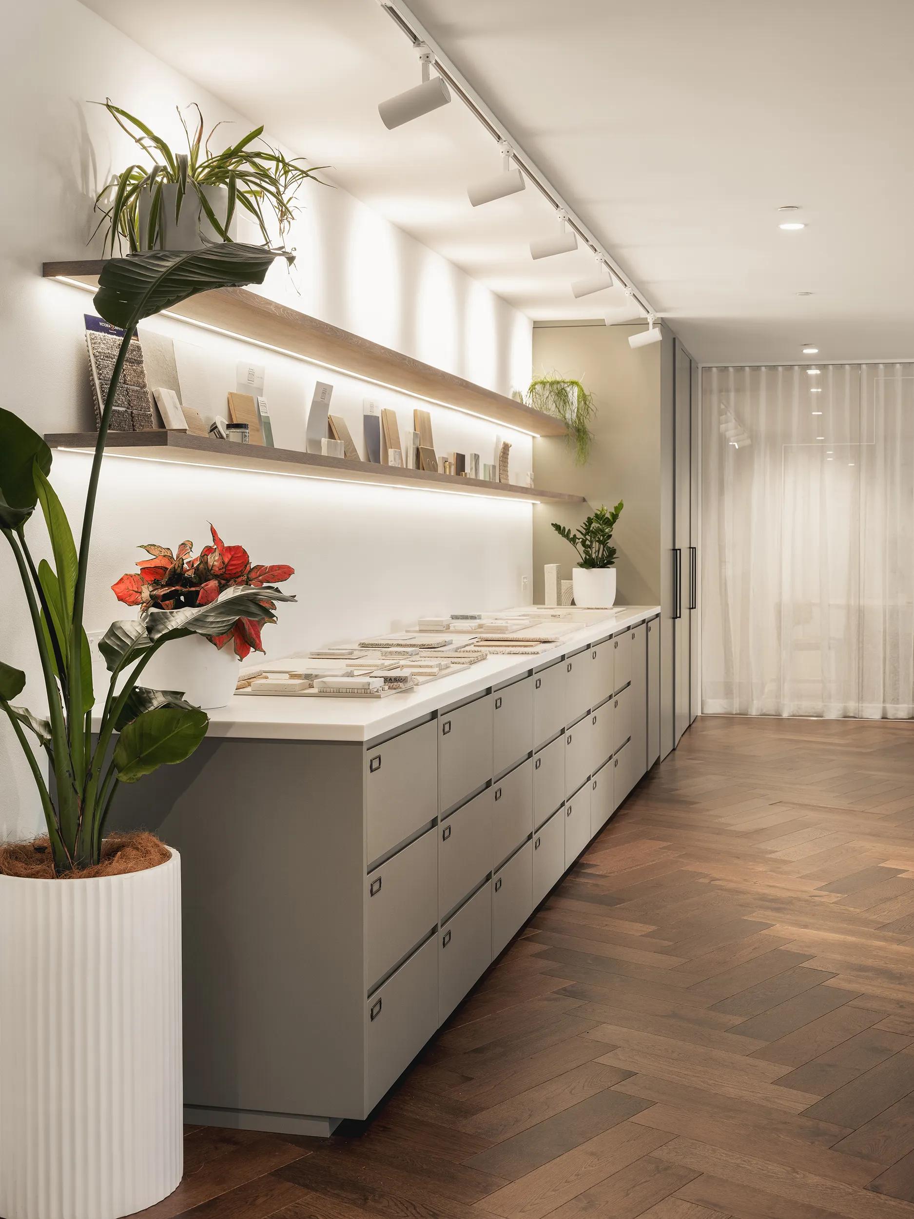Frankly — Central Element Head Office, North Sydney