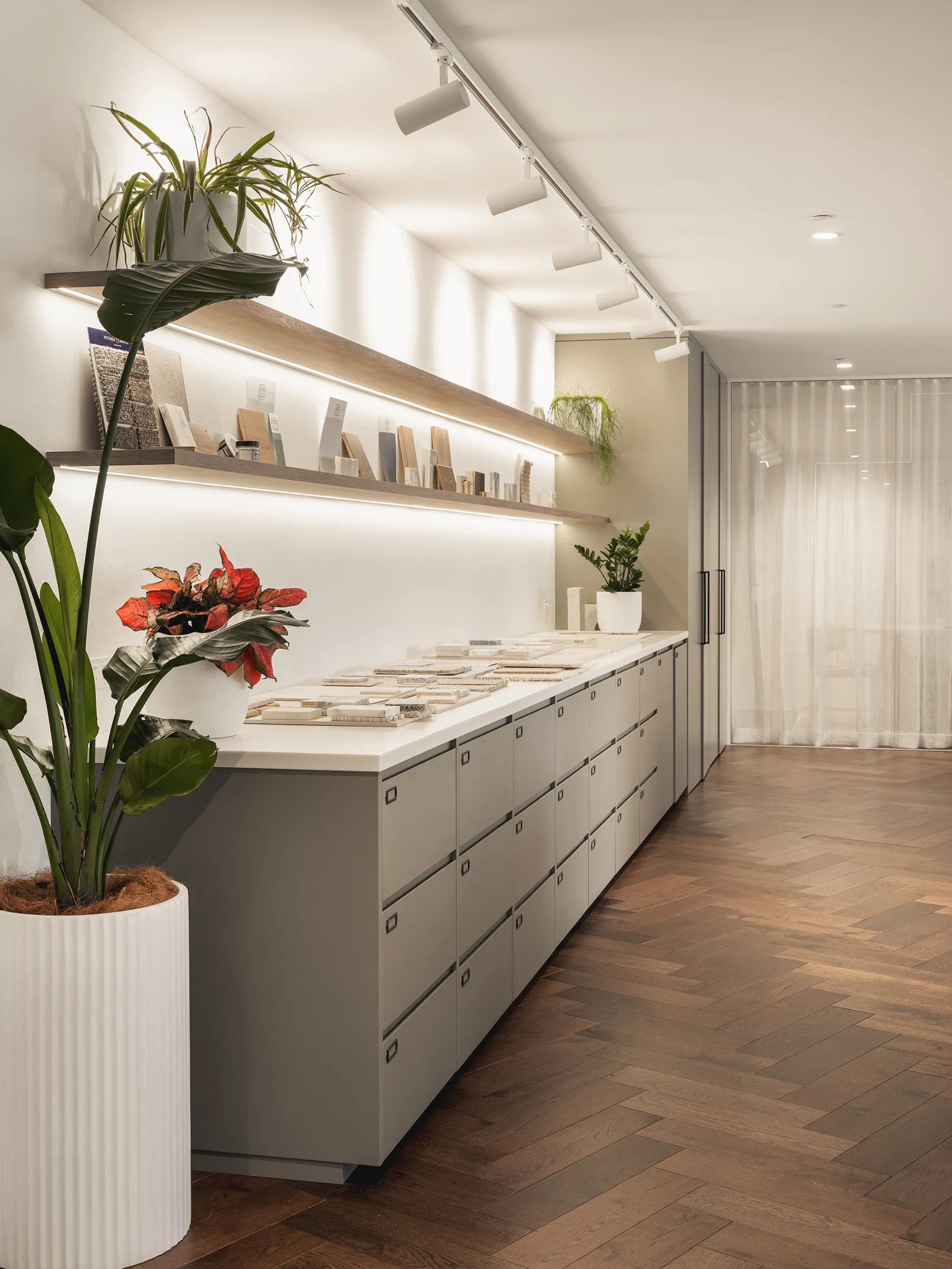 Frankly — Central Element Head Office, North Sydney