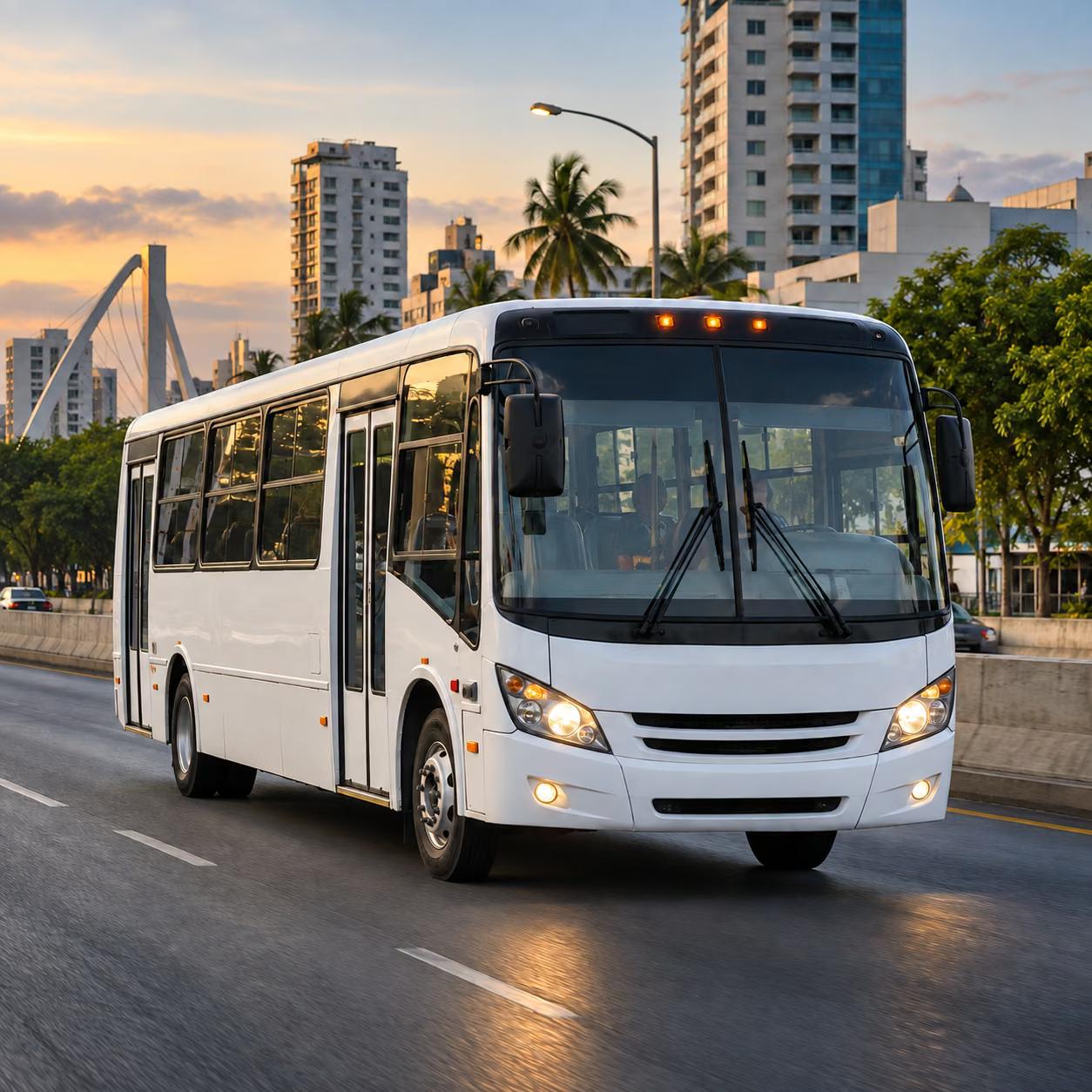 Autobús / Bus