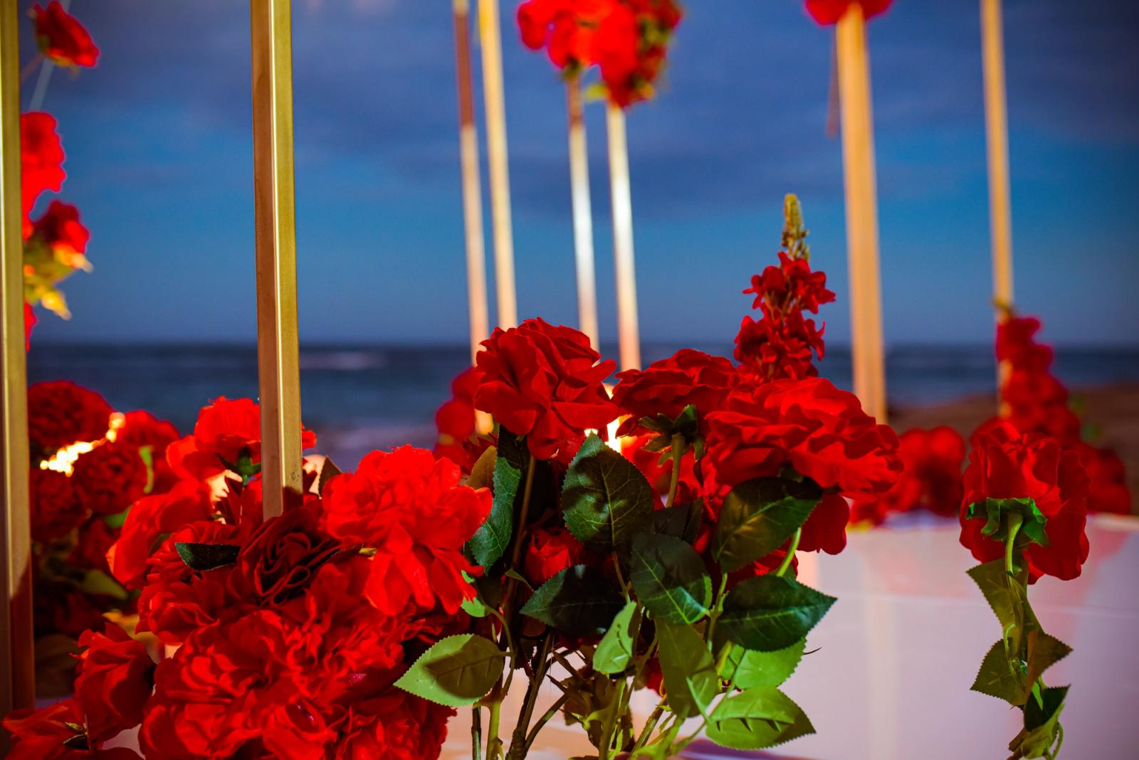 Coral Passion: detalhe da montagem 4 em uma praia privativa de Uvero Alto, Punta Cana. Coral Passion: detalhe da montagem 4 em uma praia privativa de Uvero Alto, Punta Cana.