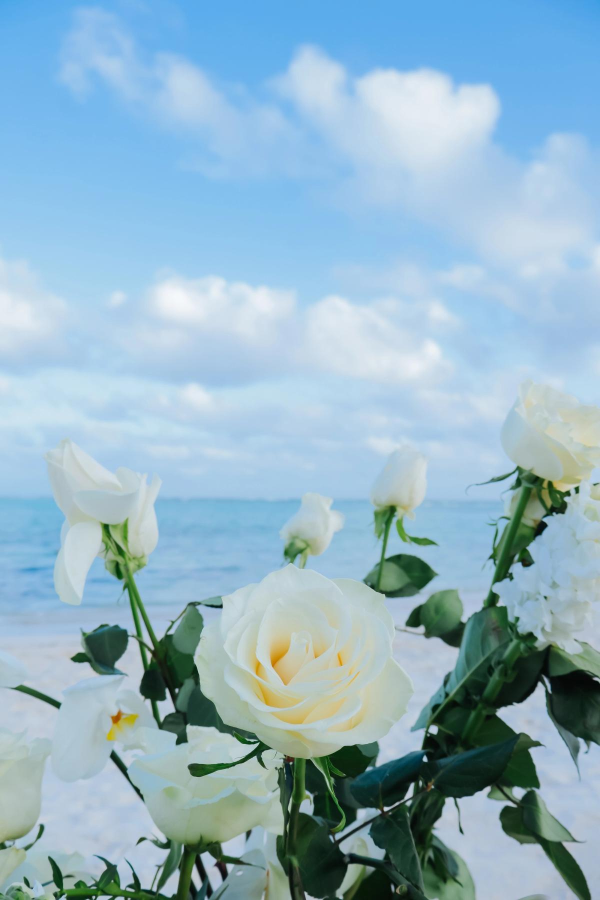 White Serenity: decoração em destaque 1 em uma praia privativa de Uvero Alto, Punta Cana. White Serenity: decoração em destaque 1 em uma praia privativa de Uvero Alto, Punta Cana.