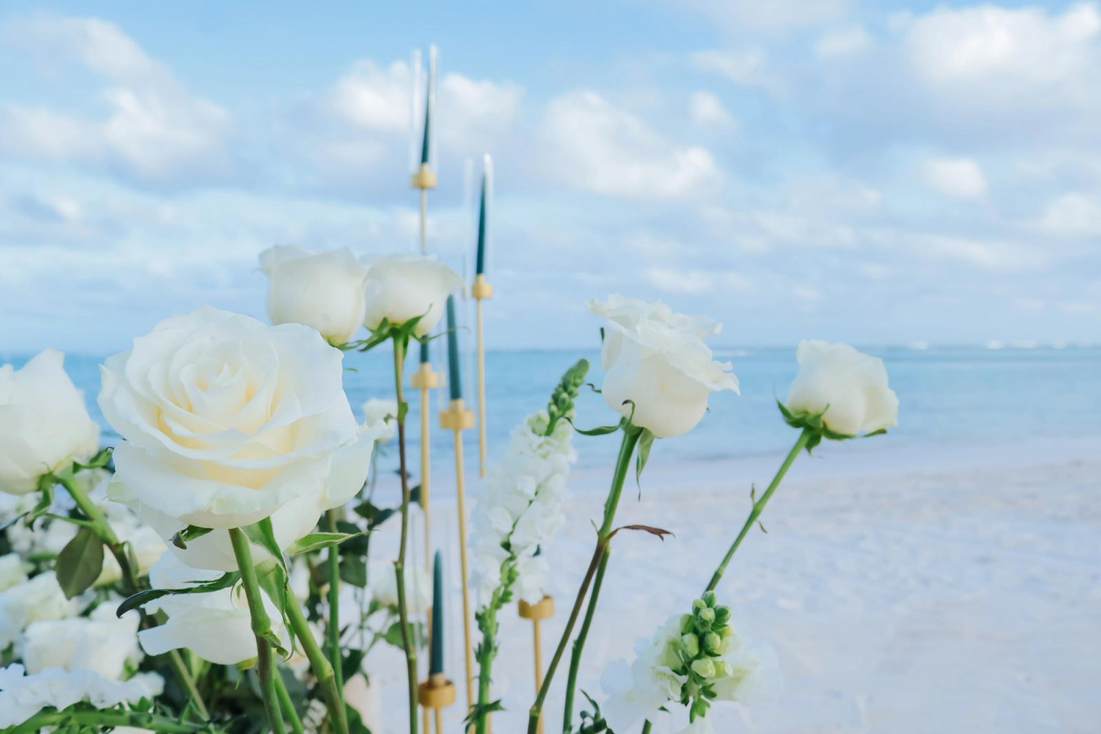White Serenity: detalhe da montagem 2 em uma praia privativa de Uvero Alto, Punta Cana. White Serenity: detalhe da montagem 2 em uma praia privativa de Uvero Alto, Punta Cana.