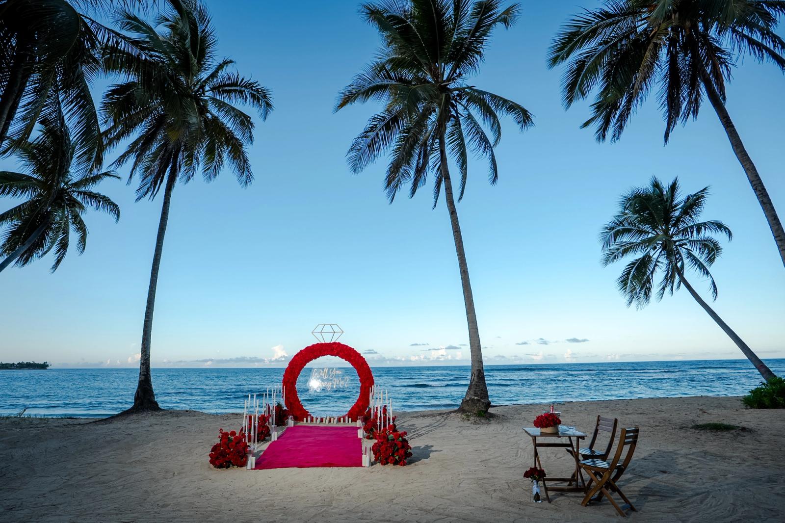 Endless Love: Red floral ring framed by palm trees beside the sea. Endless Love: Red floral ring framed by palm trees beside the sea.
