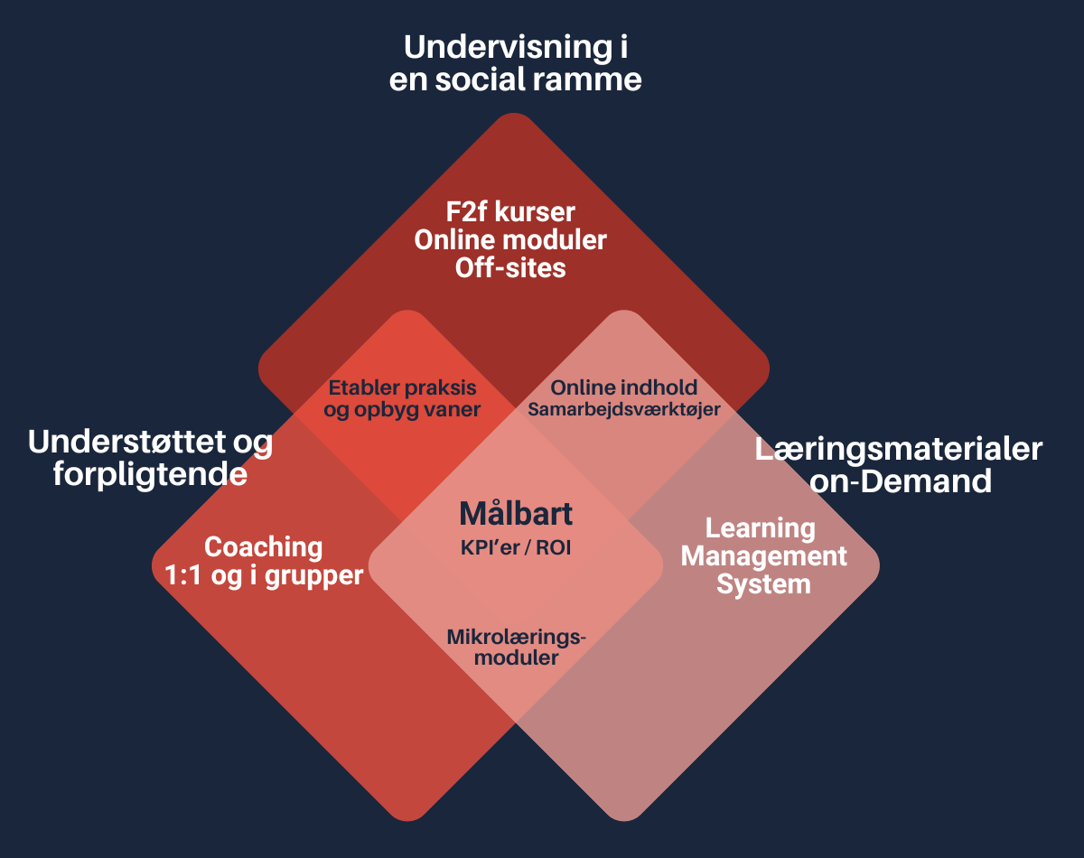 Illustration af hvordan komponenterne/værktøjerne understøtter lederudviklingsprogrammet.