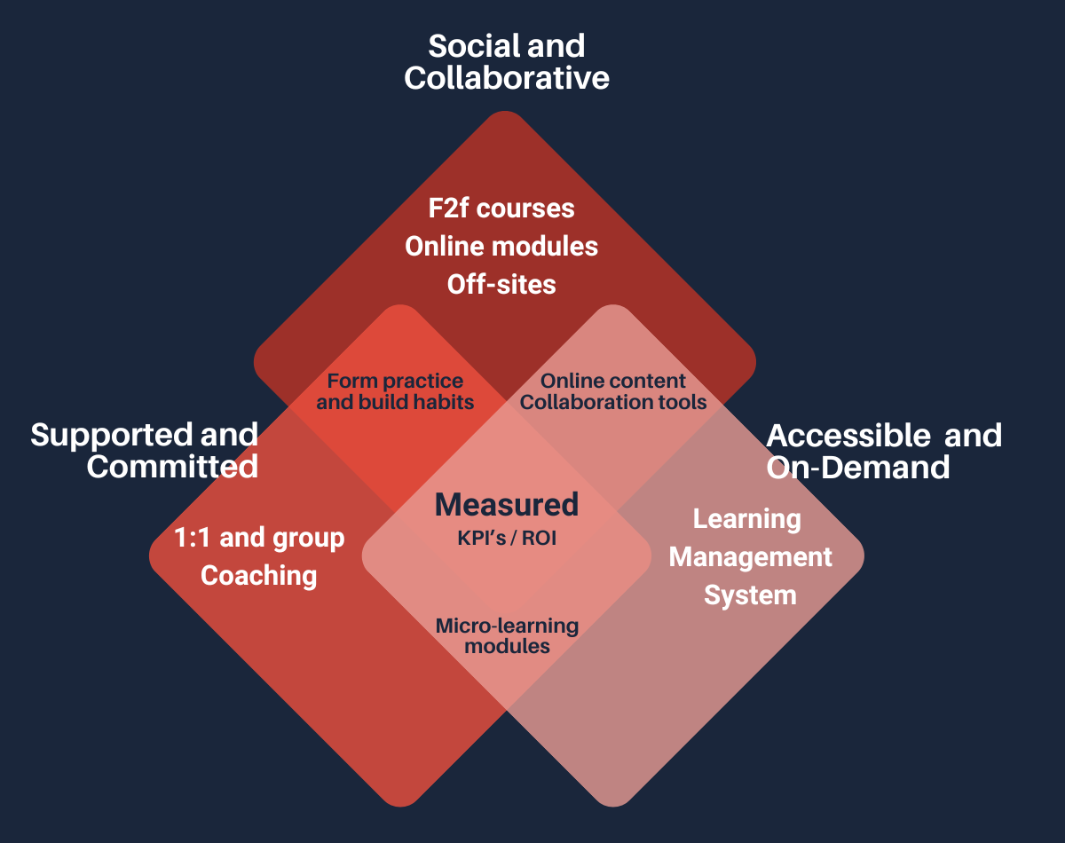 Illustration of how the components / tools supports the leadership Development Program