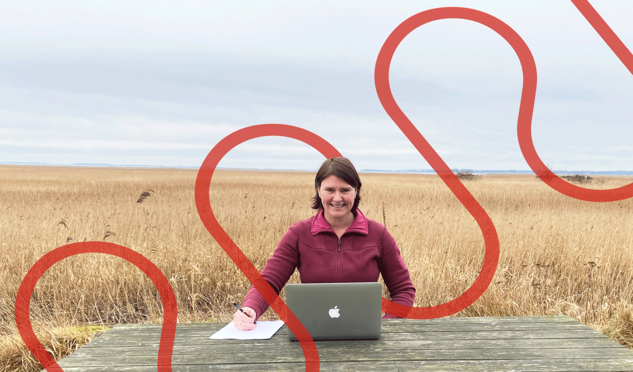 Et frugtbart coachingforløb - hvad indebærer det?