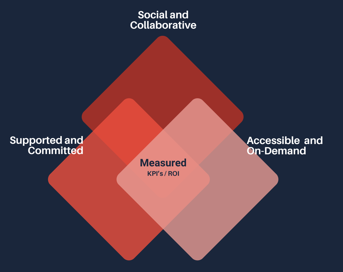 Illustration of the characteristics of the best in class Leadership Development Programs.