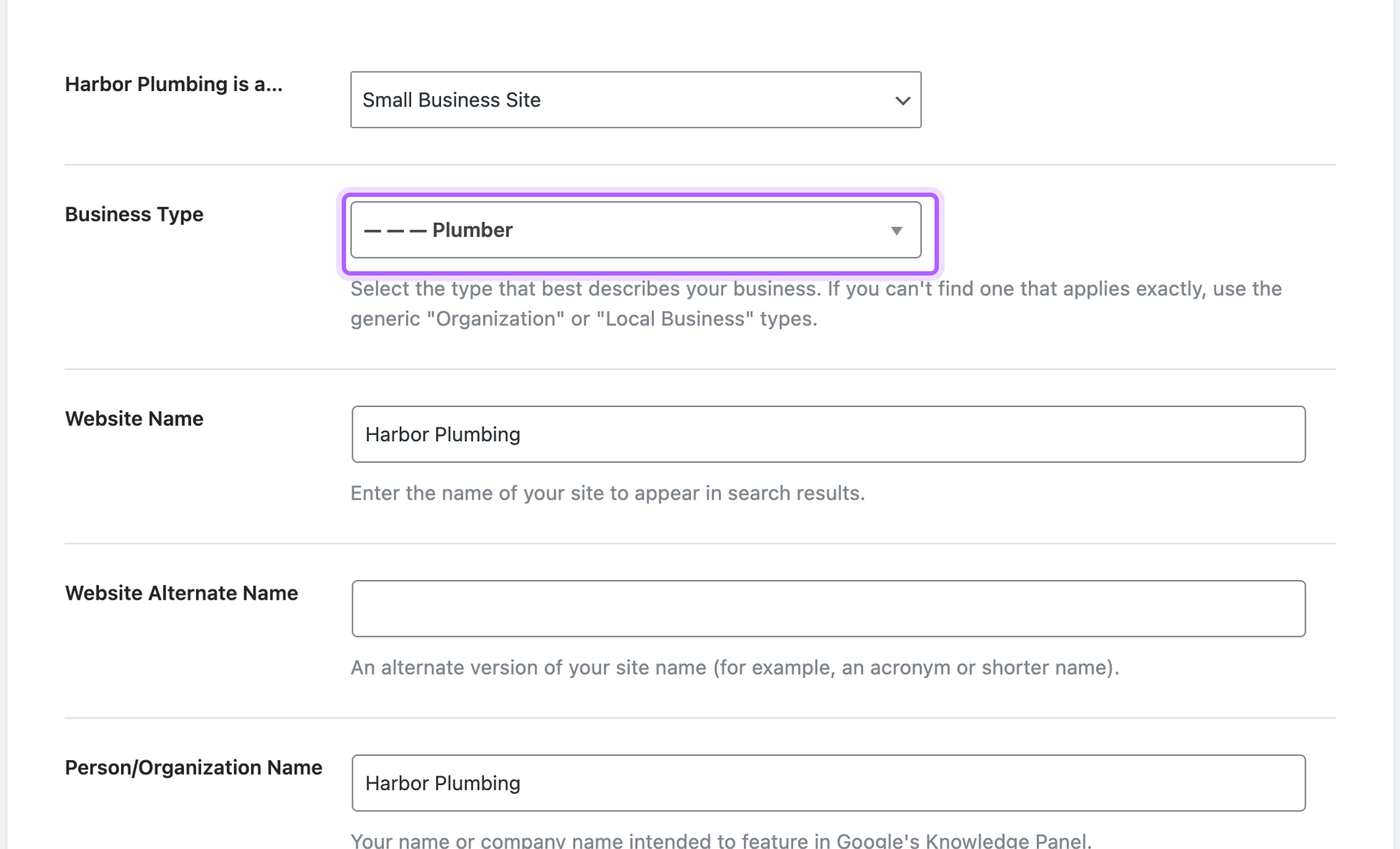 Rank Math's setup wizard with Small Business Site selected and Plumber chosen as the Business Type