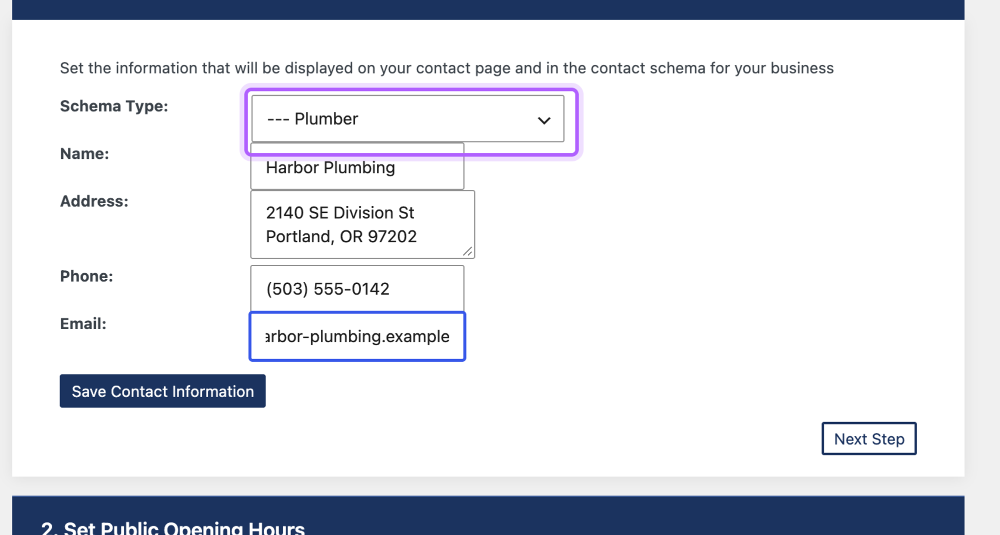 Five Star Business Profile and Schema setup with Schema Type set to Plumber
