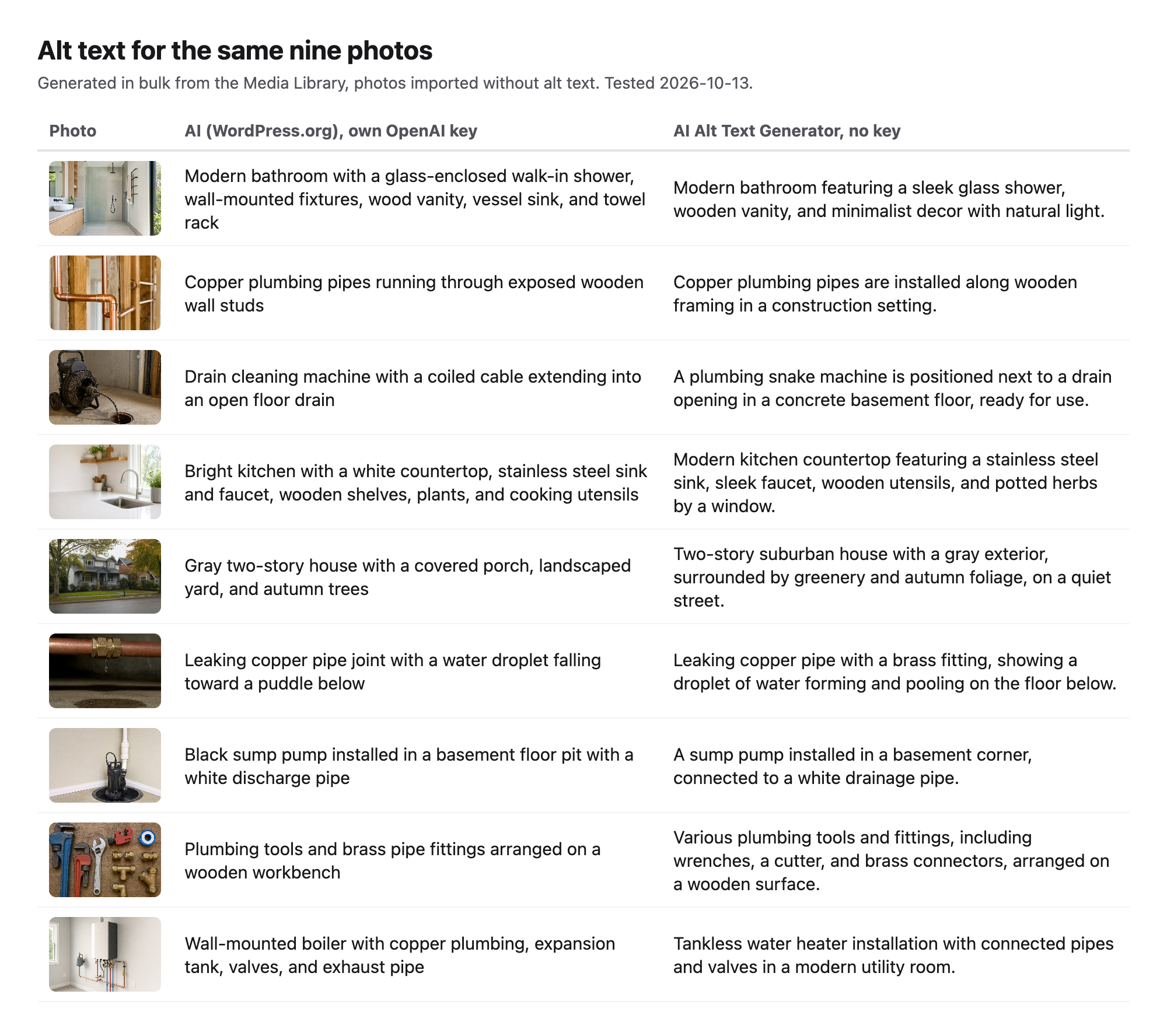 Table of the nine test photos with the alt text the WordPress.org AI plugin and AI Alt Text Generator wrote for each one