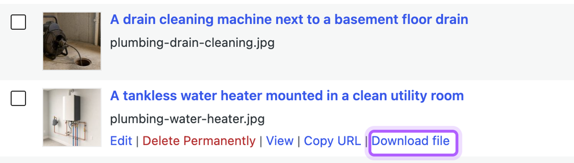 A row in the Media Library list view with the row actions Edit, Delete Permanently, View, Copy URL and Download file, with Download file highlighted