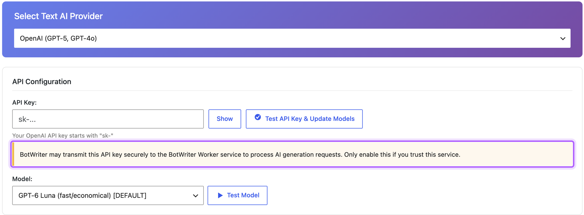 BotWriter's API settings with the notice that it may transmit the API key to the BotWriter Worker service highlighted