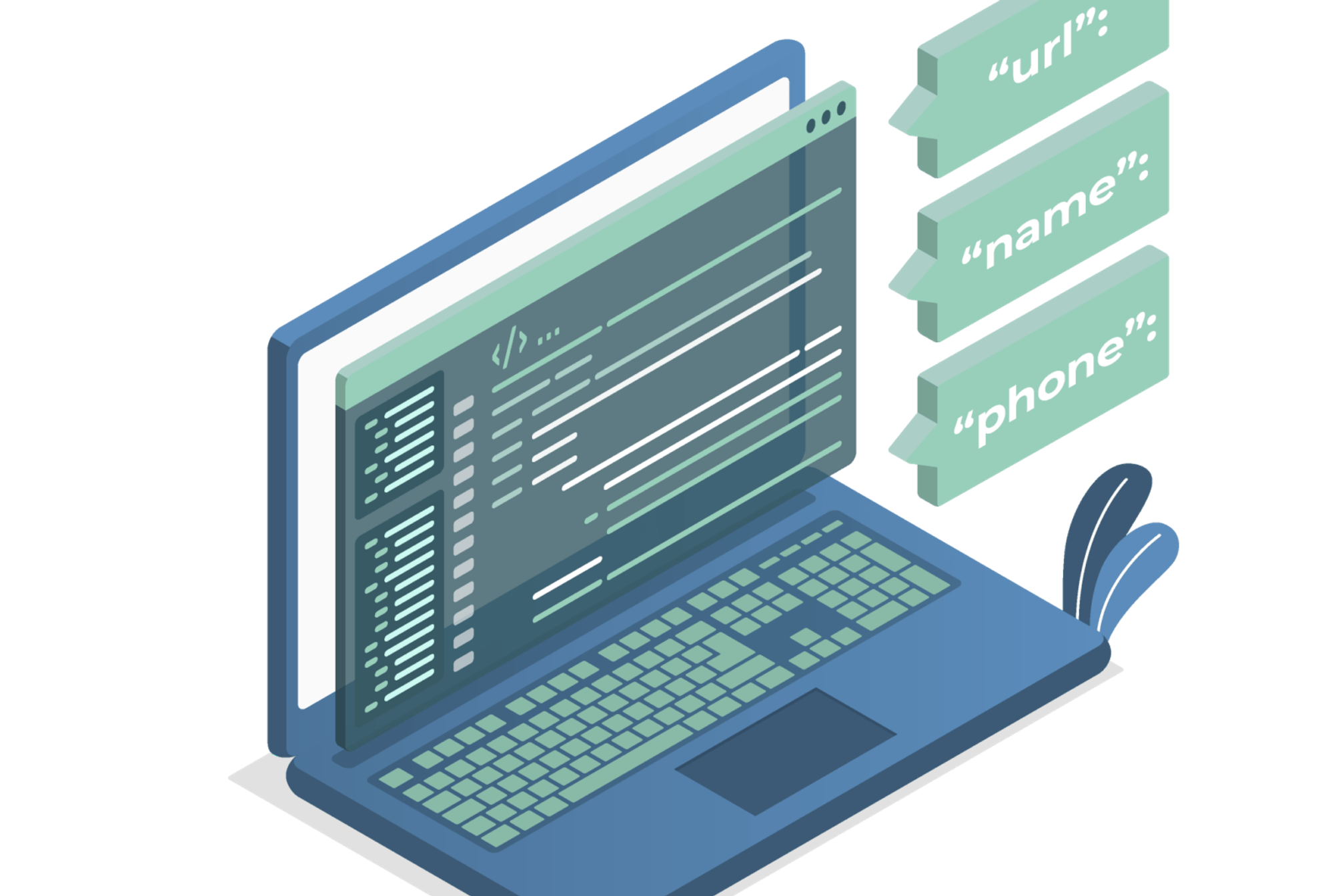 laptop showing code to display local business schema