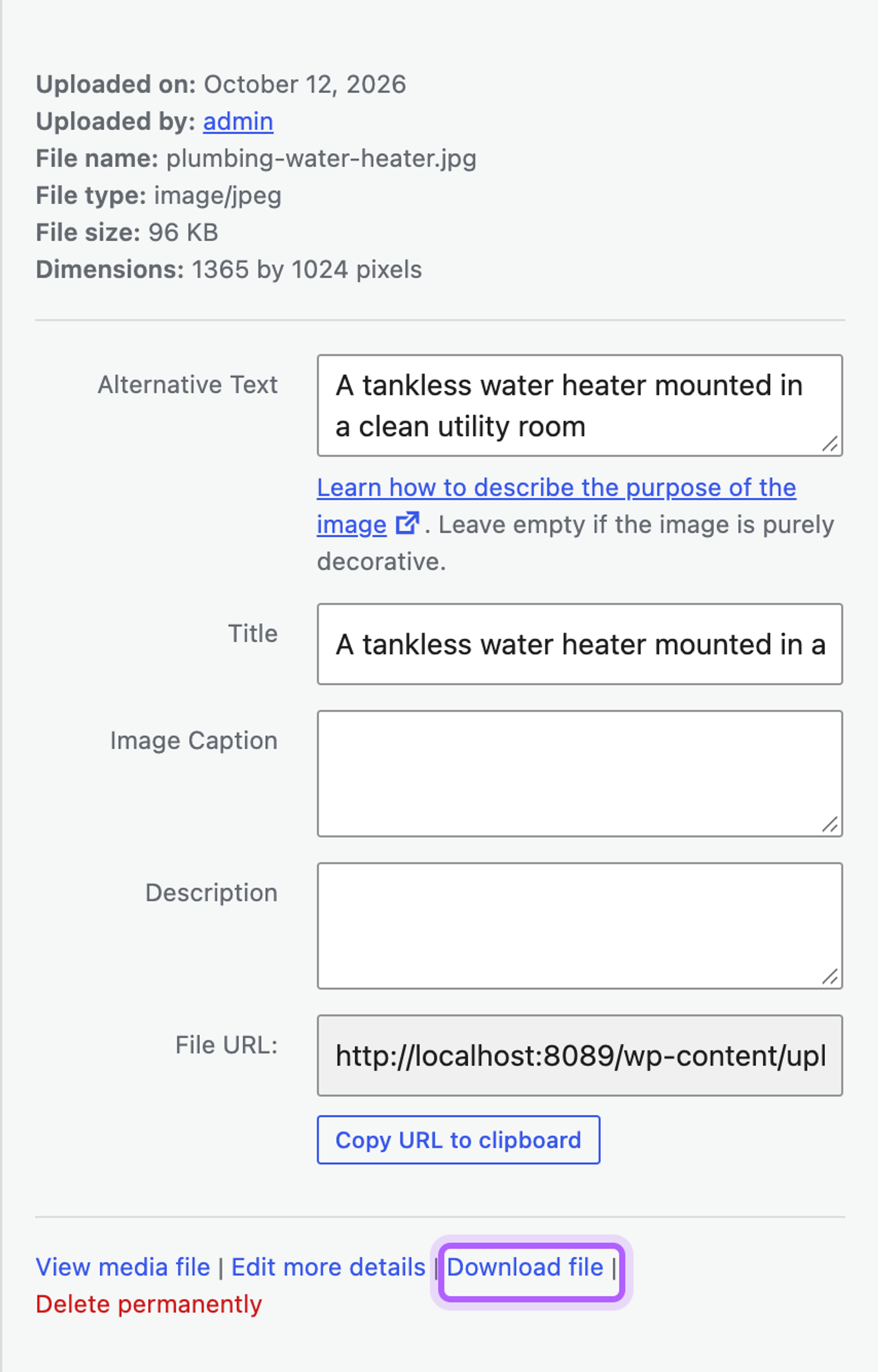 The attachment details of a photo in the WordPress Media Library, with the Download file link at the bottom highlighted
